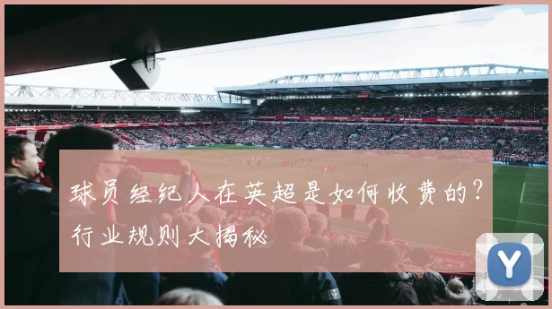 球员经纪人在英超是如何收费的?行业规则大揭秘