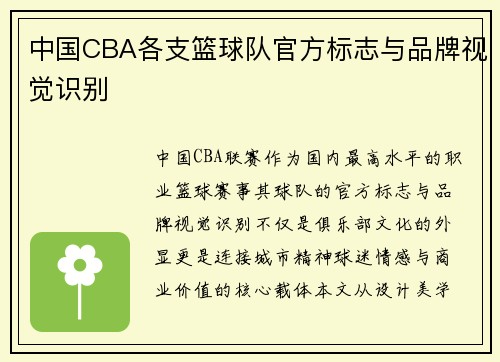 中国CBA各支篮球队官方标志与品牌视觉识别
