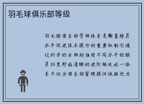 羽毛球俱乐部等级