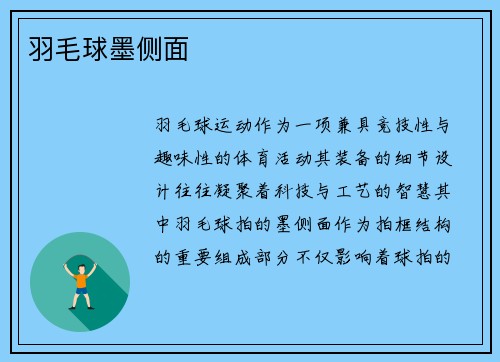 羽毛球墨侧面